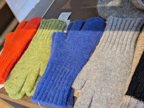 PXL_20251205_043626669.PORTRAIT