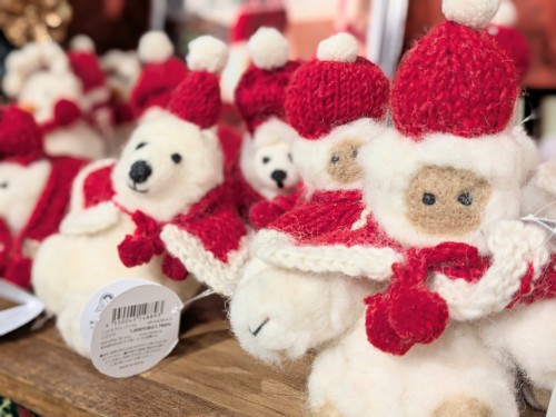 PXL_20251211_080553442.PORTRAIT~2