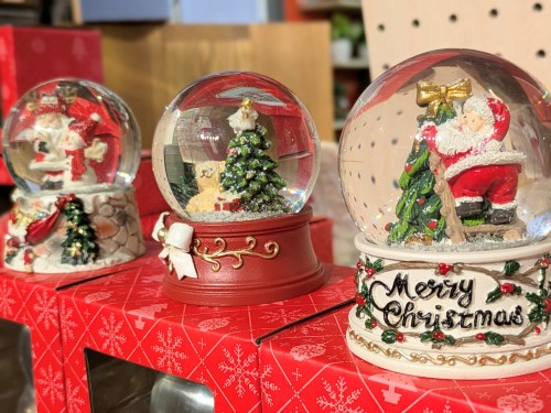 PXL_20251211_080705262.PORTRAIT~2