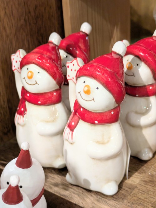 PXL_20251211_080816814.MP~2