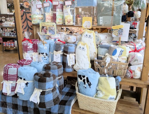 PXL_20251230_013115282.MP~2