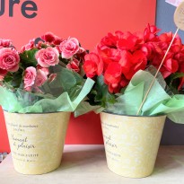 IMG_0094_Original