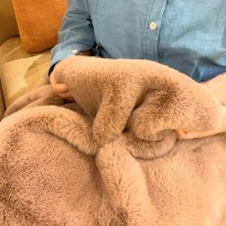 IMG_0706_Original